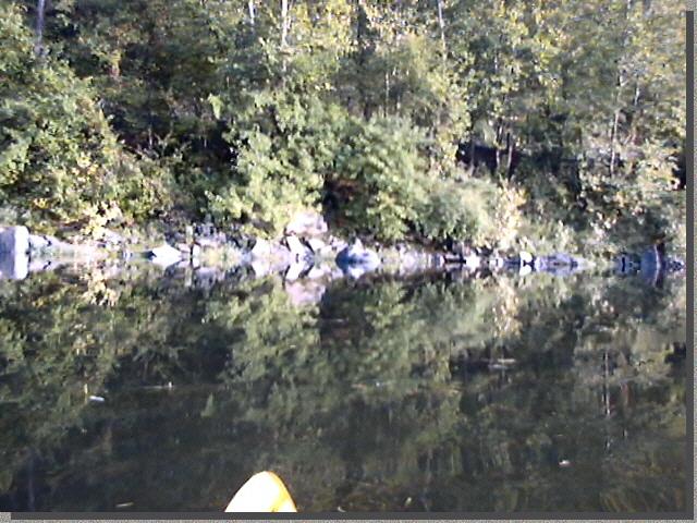 Rocky riverbank